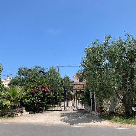 Villa Monica Appartamenti Vieste Ngoại thất bức ảnh