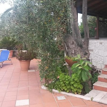 Villa Monica Appartamenti Vieste Ngoại thất bức ảnh