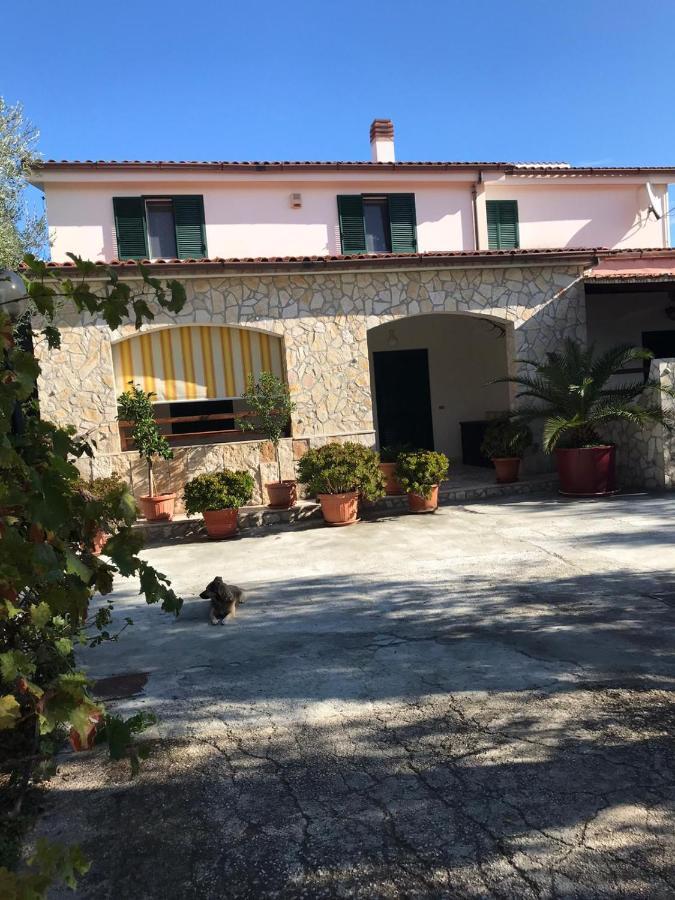 Villa Monica Appartamenti Vieste Ngoại thất bức ảnh