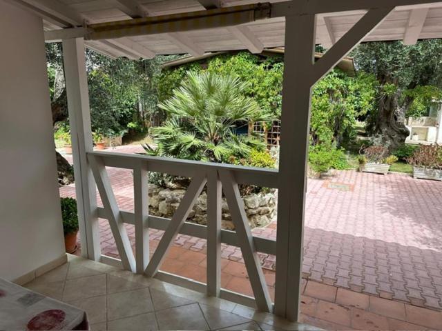 Villa Monica Appartamenti Vieste Ngoại thất bức ảnh