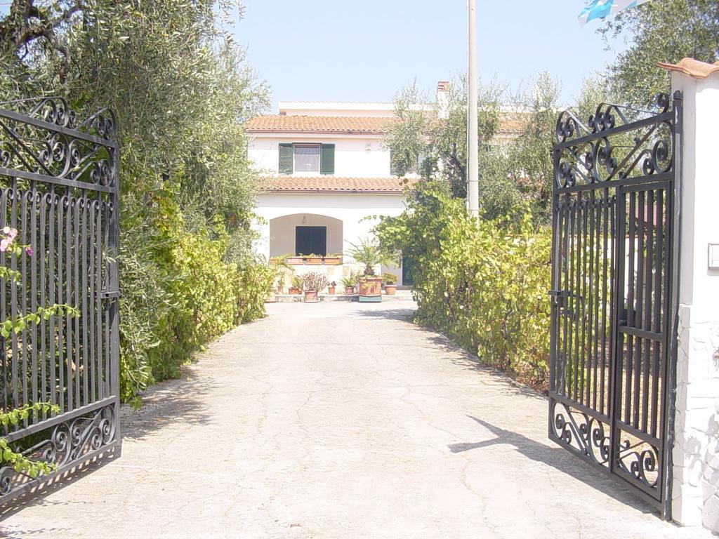 Villa Monica Appartamenti Vieste Ngoại thất bức ảnh