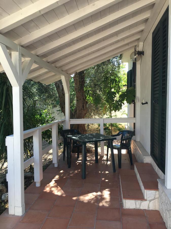 Villa Monica Appartamenti Vieste Ngoại thất bức ảnh
